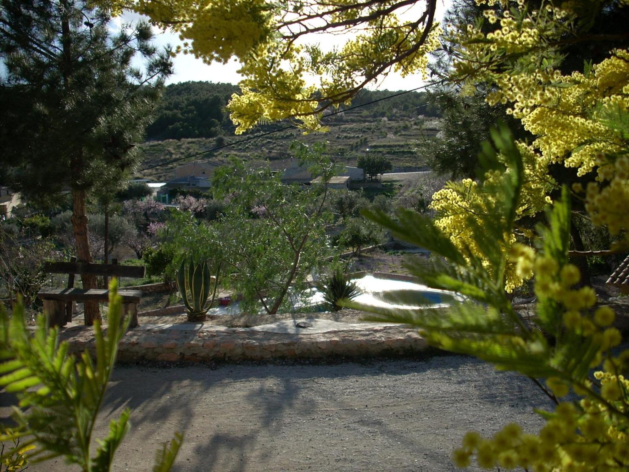 알라마 데 무르시아 El Mirador De Gebas 게스트하우스 외부 사진